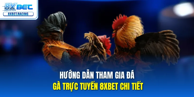 Hướng dẫn tham gia đá gà trực tuyến 8xbet chi tiết