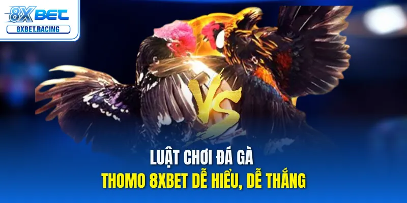 Luật chơi đá gà Thomo 8xbet dễ hiểu, dễ thắng